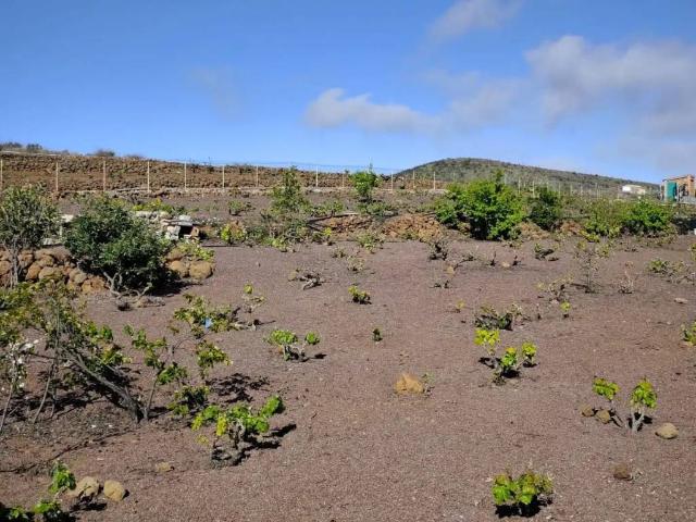 Terreno en venta en Vilaflor de Chasna, Vilaflor