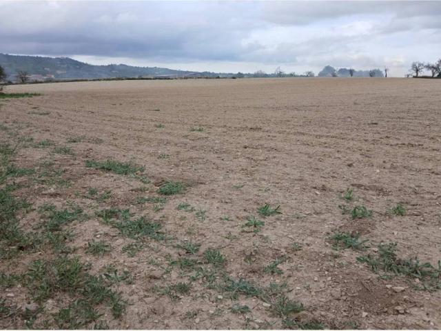 Terreno en venta en Vilafranca de Bonany, Illes Balears
