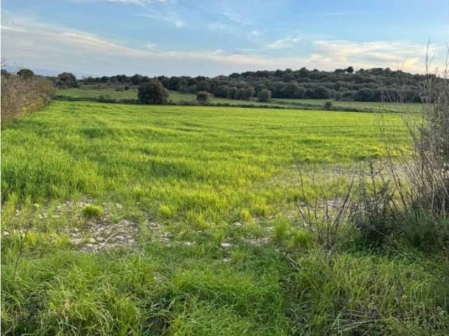 Terreno en venta en Pla de Mallorca, Baleares