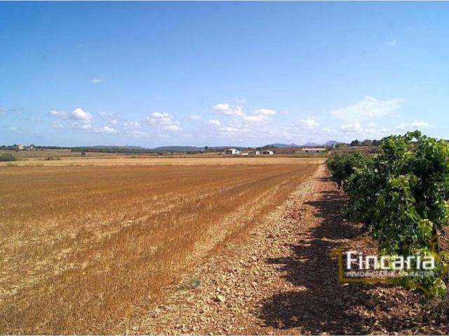 Terreno en venta en Pla de Mallorca, Baleares