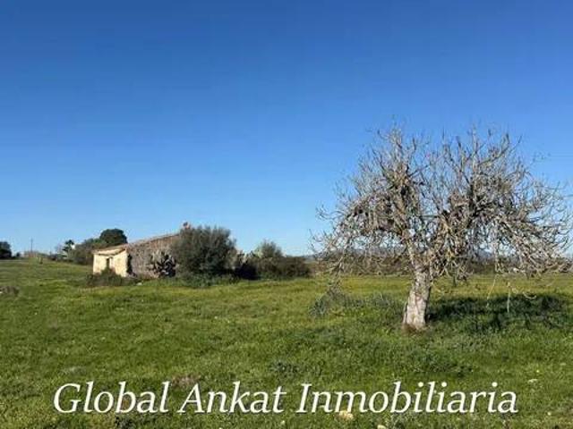 Terreno en venta en Pla de Mallorca, Baleares