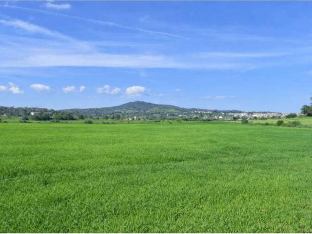 Terreno en venta en Pla de Mallorca, Baleares