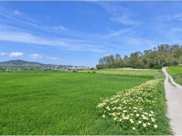 Terreno en venta en Pla de Mallorca, Baleares