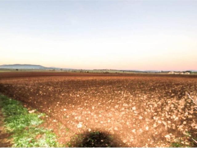 Terreno en venta en Pla de Mallorca, Baleares