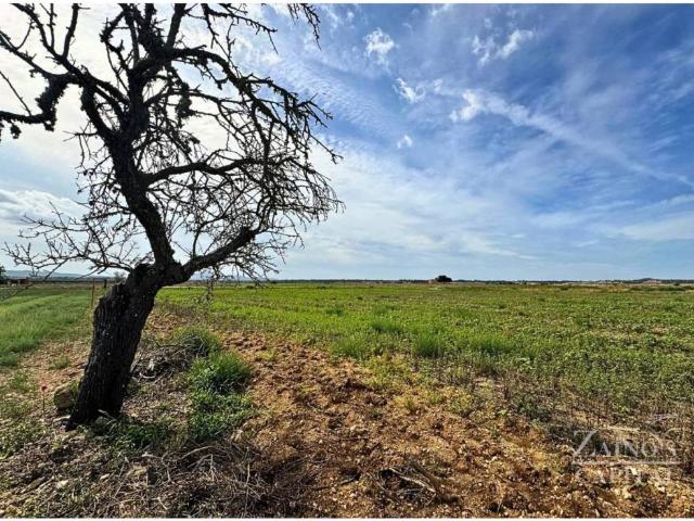 Terreno en venta en Pla de Mallorca, Baleares