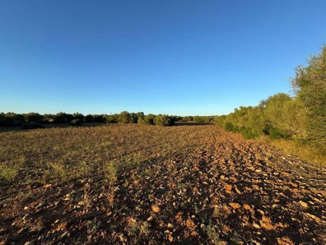 Terreno en venta en Pla de Mallorca, Baleares