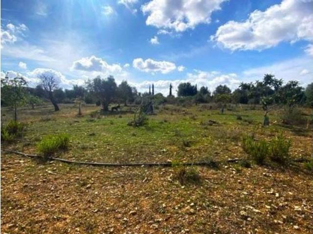 Terreno en venta en Pla de Mallorca, Baleares