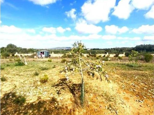 Terreno en venta en Pla de Mallorca, Baleares