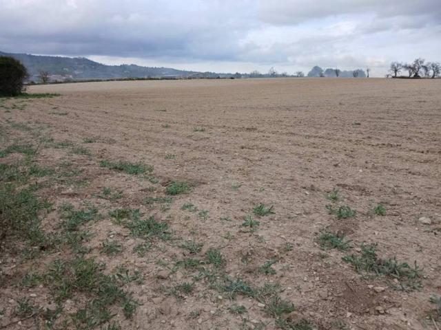 Terreno en venta en Pla de Mallorca, Baleares