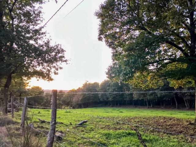 Terreno en venta en Terra Chá, Galicia