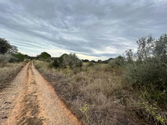 Terreno en venta en Tarragonès, Catalunya