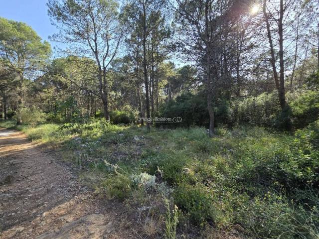 Terreno en venta en la Safor, Valencia