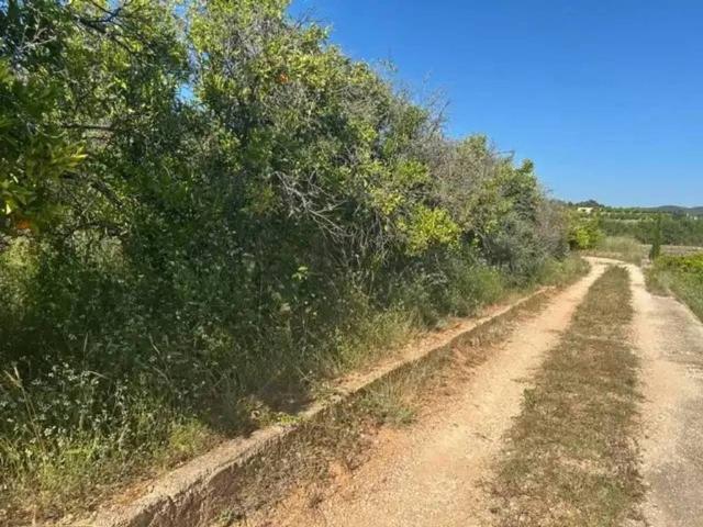 Terreno en venta en la Safor, Valencia