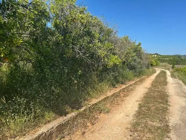 Terreno en venta en la Safor, Valencia
