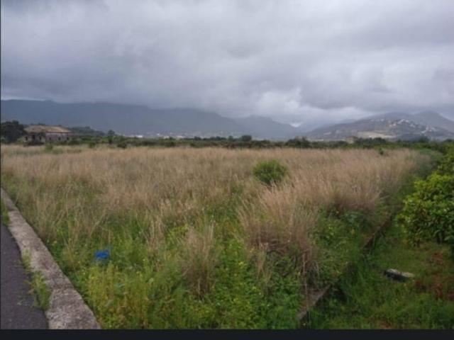 Terreno en venta en la Safor, Valencia