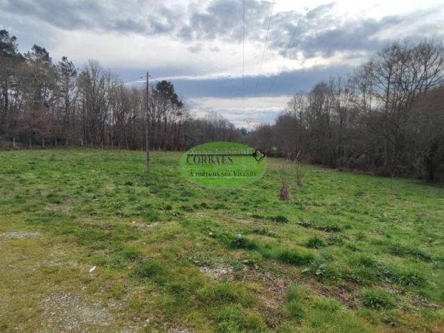 Terreno en venta en Ourense, Galicia