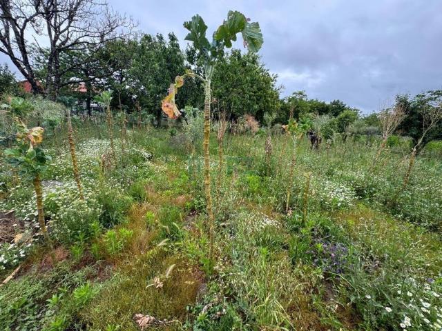 Terreno en venta en Ourense, Galicia