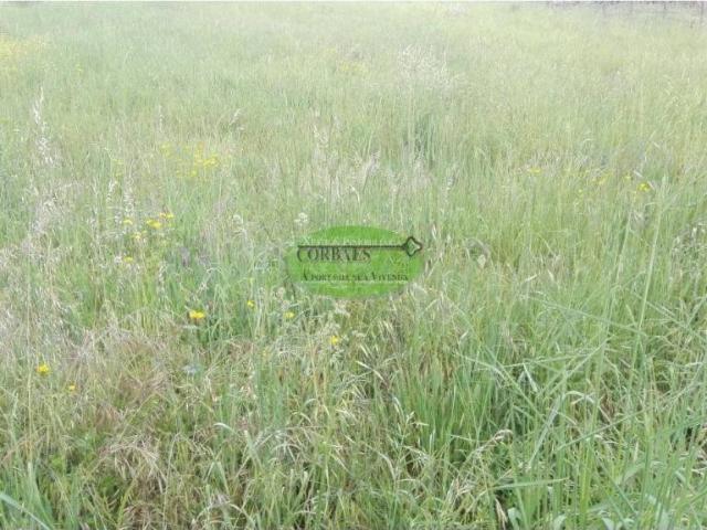 Terreno en venta en Ourense, Galicia