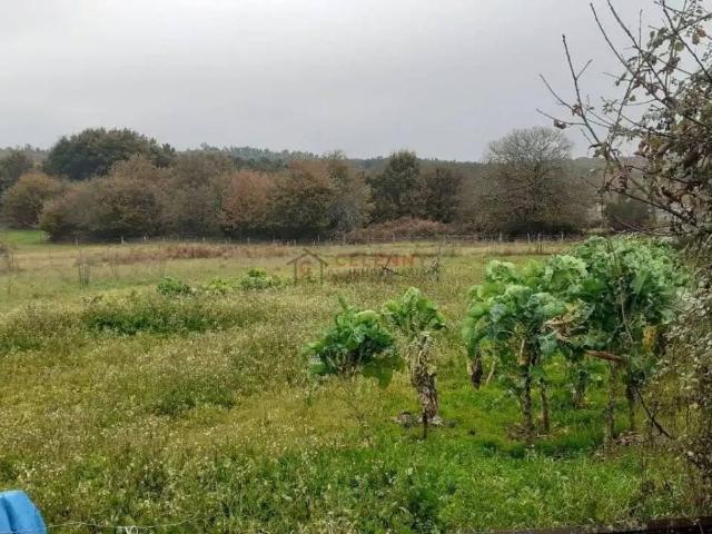 Terreno en venta en Ourense, Galicia