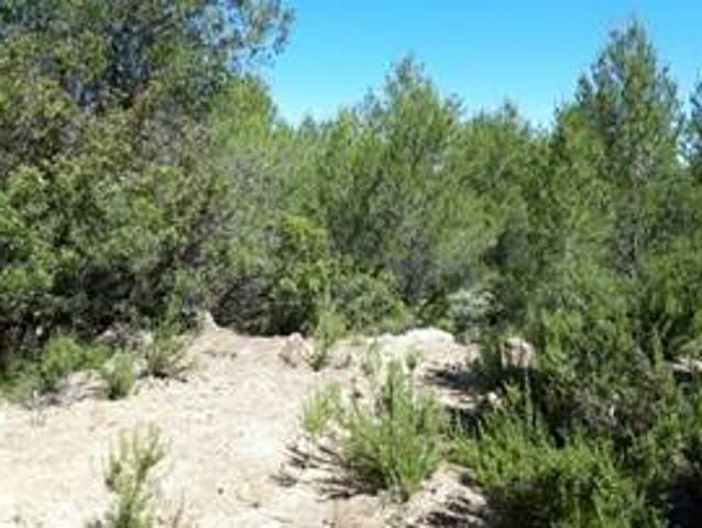 Terreno en venta en el Camp de Túria, Valencia