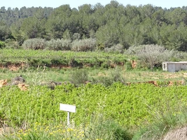 Terreno en venta en el Camp de Túria, Valencia