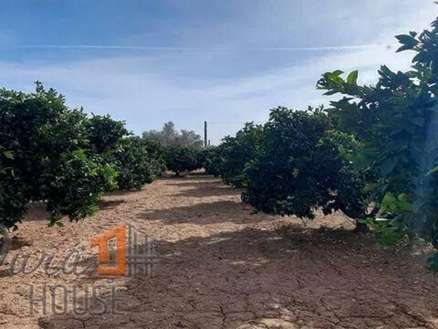 Terreno en venta en el Camp de Túria, Valencia