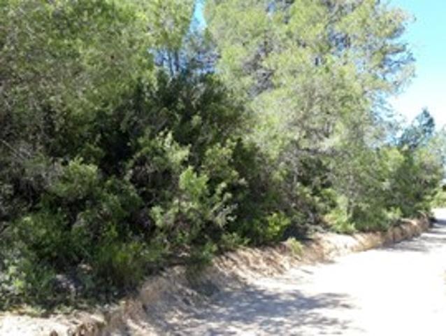 Terreno en venta en el Camp de Túria, Valencia