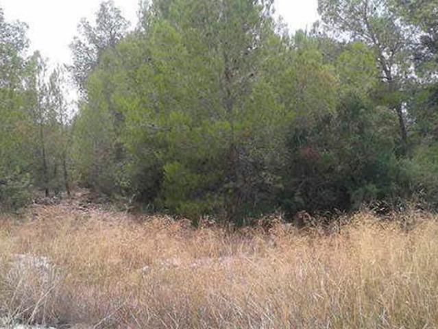 Terreno en venta en el Camp de Túria, Valencia