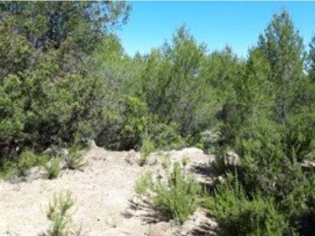 Terreno en venta en el Camp de Túria, Valencia