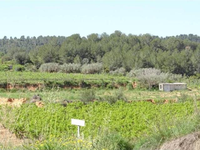 Terreno en venta en el Camp de Túria, Valencia