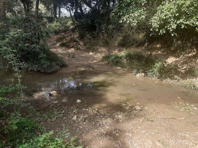 Terreno en venta en Alt Empordà, Catalunya
