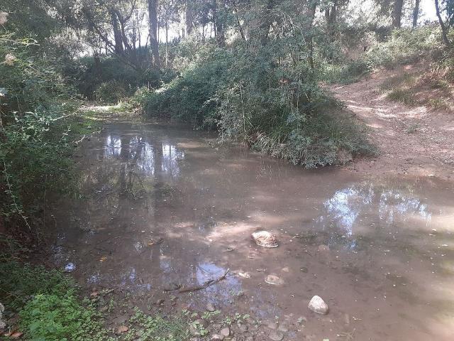 Terreno en venta en Alt Empordà, Catalunya