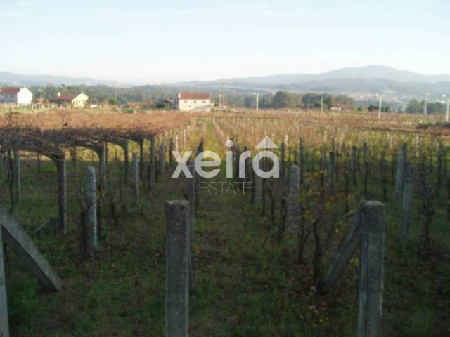 Terreno en venta en O Salnés, Galicia
