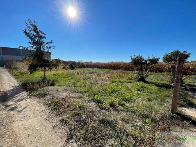 Terreno en venta en Vilanova De Bellpuig Terreno en venta en Vilanova De Bellpuig