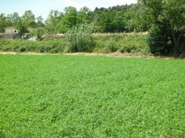 Terreno en venta en Vallès Oriental, Catalunya