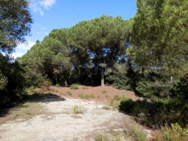 Terreno en venta en Vallès Oriental, Catalunya