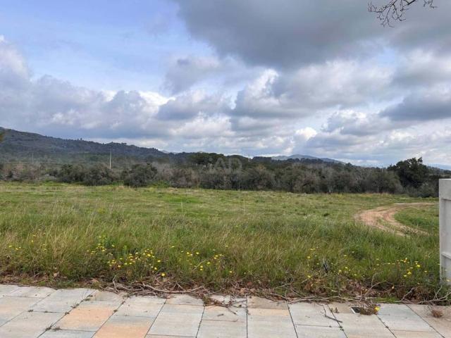 Terreno en venta en Baix Camp, Catalunya