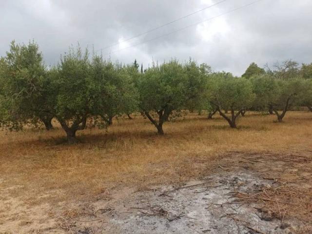 Terreno en venta en Baix Camp, Catalunya