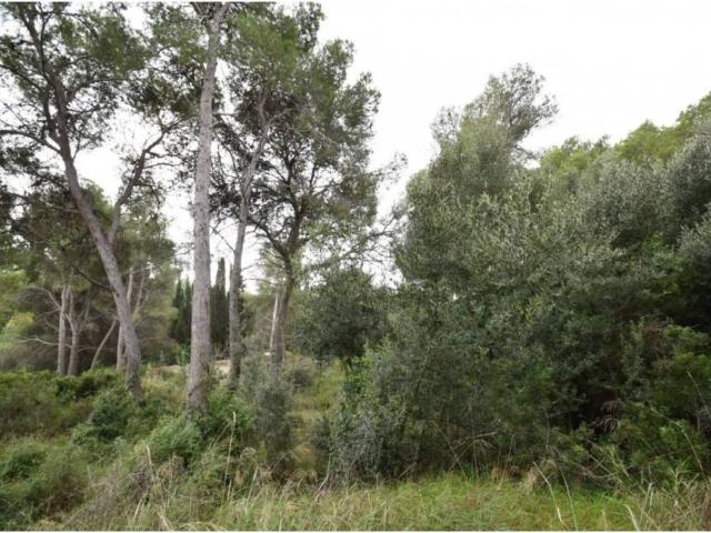 Terreno en venta en Centrevila, Garraf