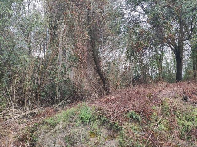 Terreno en venta en Vilaür