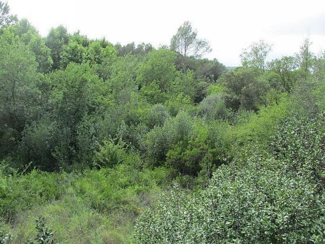 Terreno en venta en Vilaür