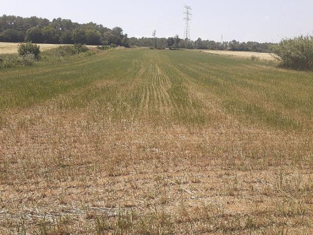 Terreno en venta en Vilaür