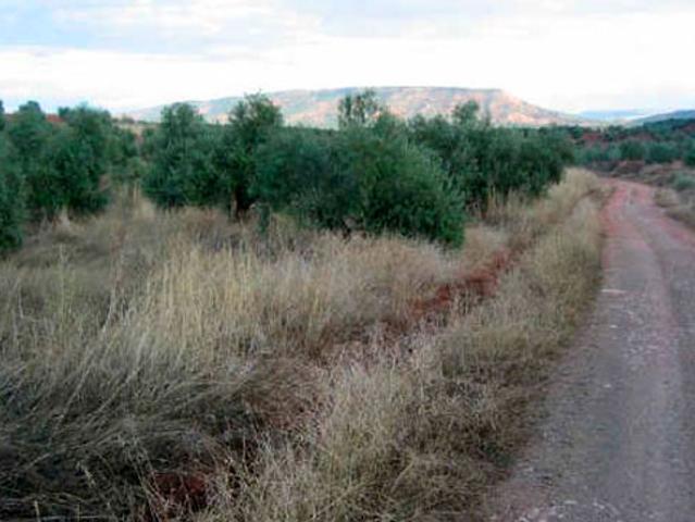Terreno en venta en Vilches