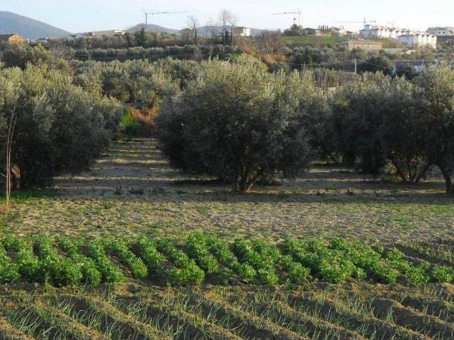 Terreno en venta en Comarca de la Vega de Granada, Andalucía
