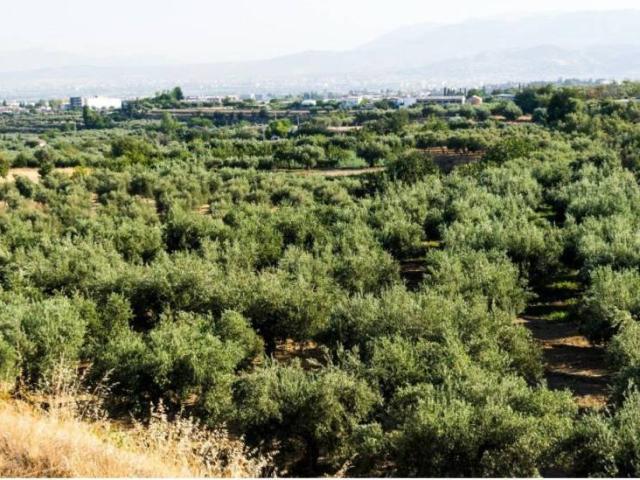 Terreno en venta en Otura, Andalucía