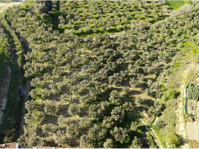 Terreno en venta en Comarca de la Vega de Granada, Andalucía