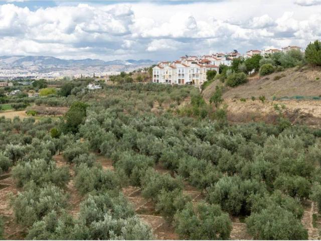 Terreno en venta en Comarca de la Vega de Granada, Andalucía