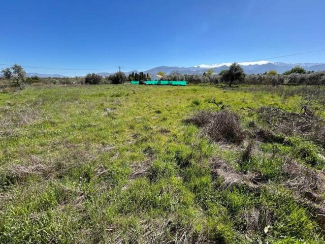 Terreno en venta en Comarca de la Vega de Granada, Andalucía
