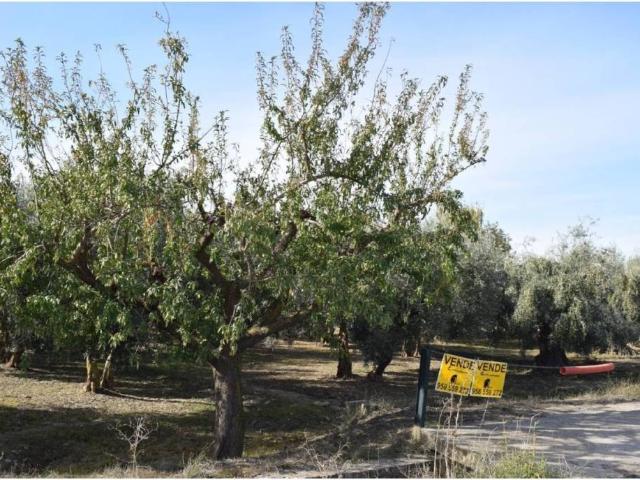 Terreno en venta en Comarca de la Vega de Granada, Andalucía