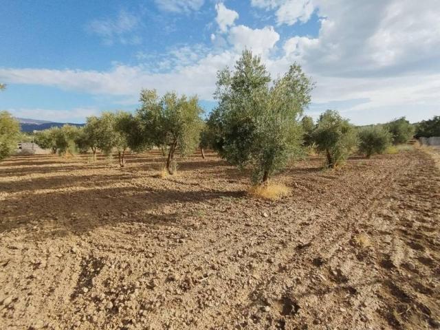 Terreno en venta en Otura, Andalucía